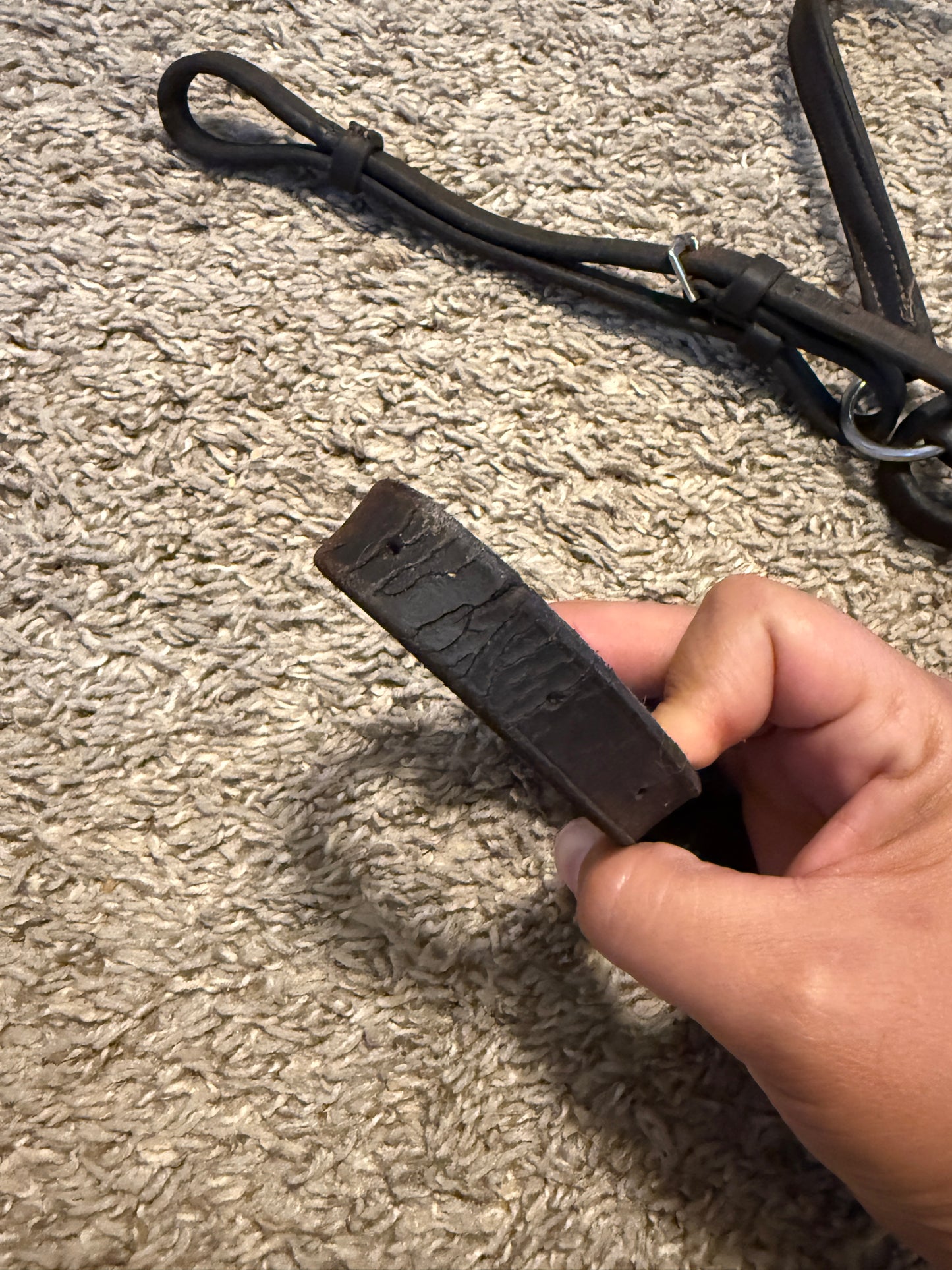 Used Hunter Breastcollar, Full Size