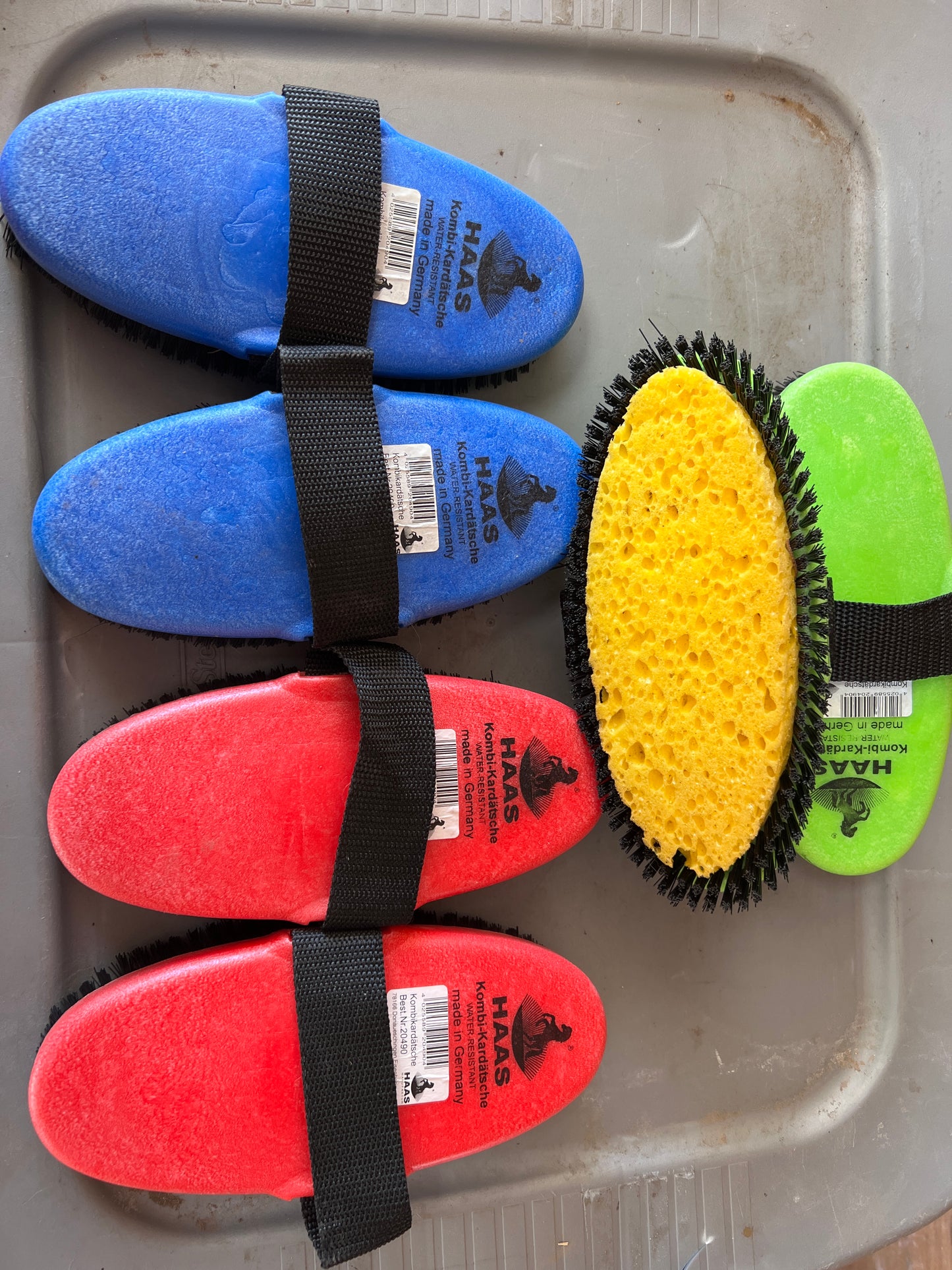 HAAS Kombi-Kardätsche