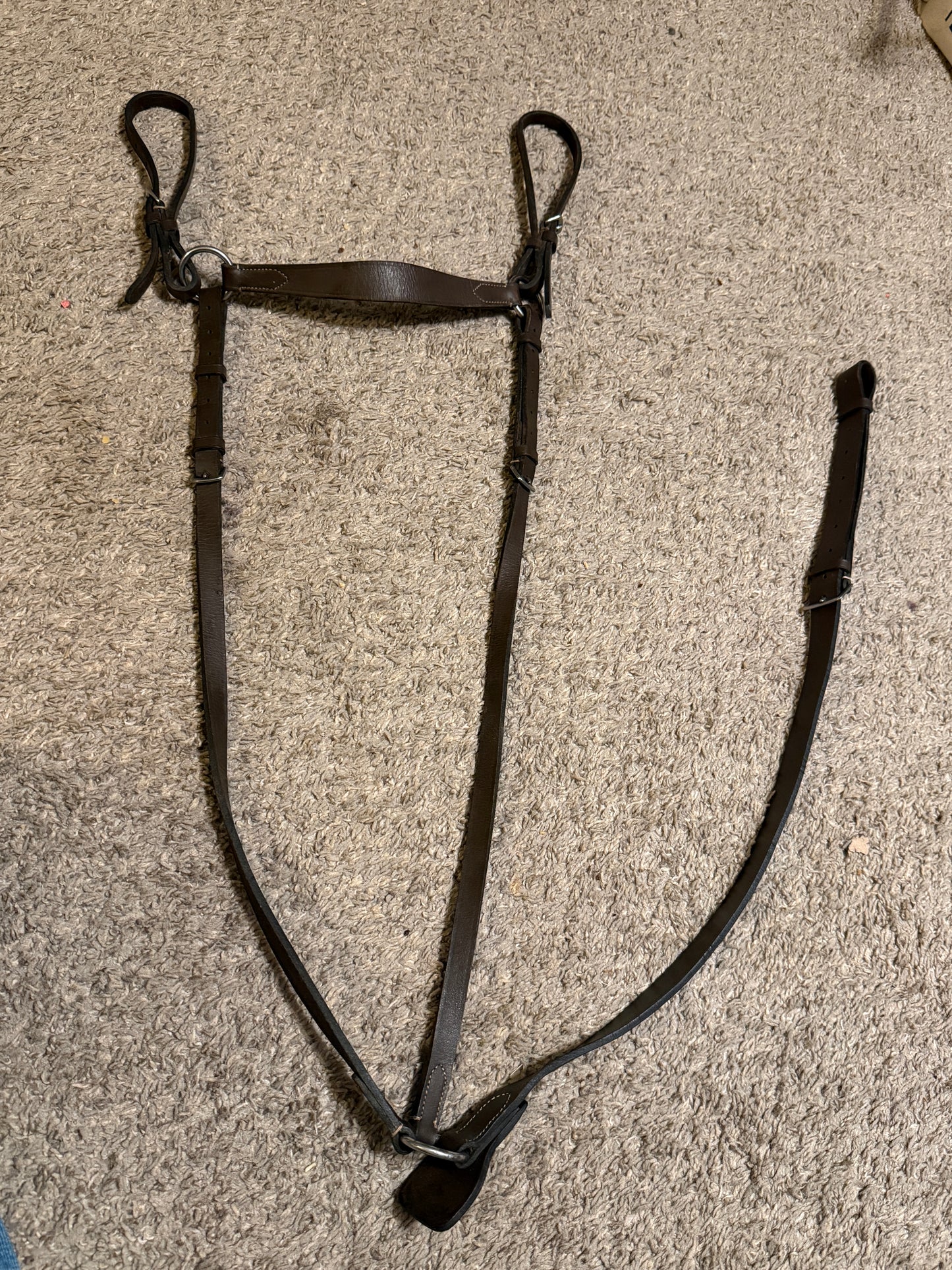 Used Flat English Breastcollar, Hunter, Full