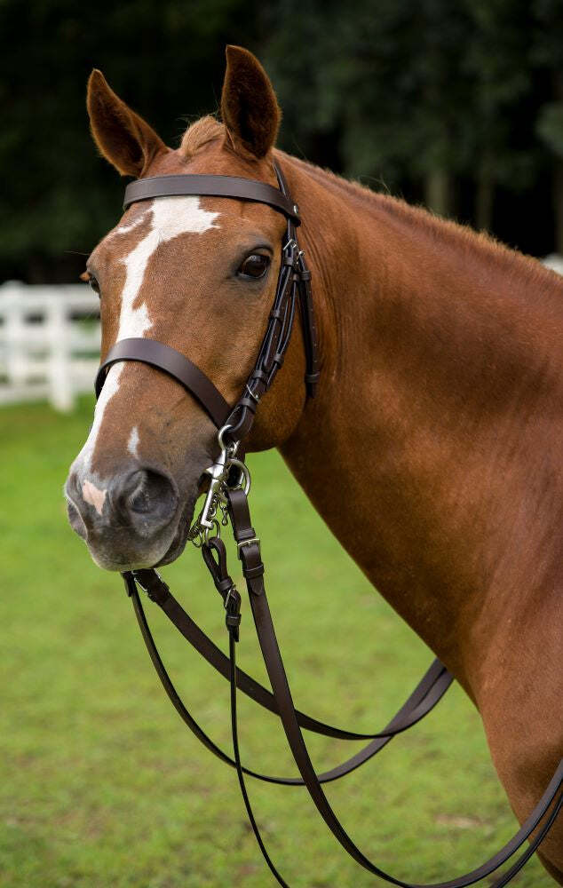 Henri de Rivel Polo Bridle w/ Double Reins