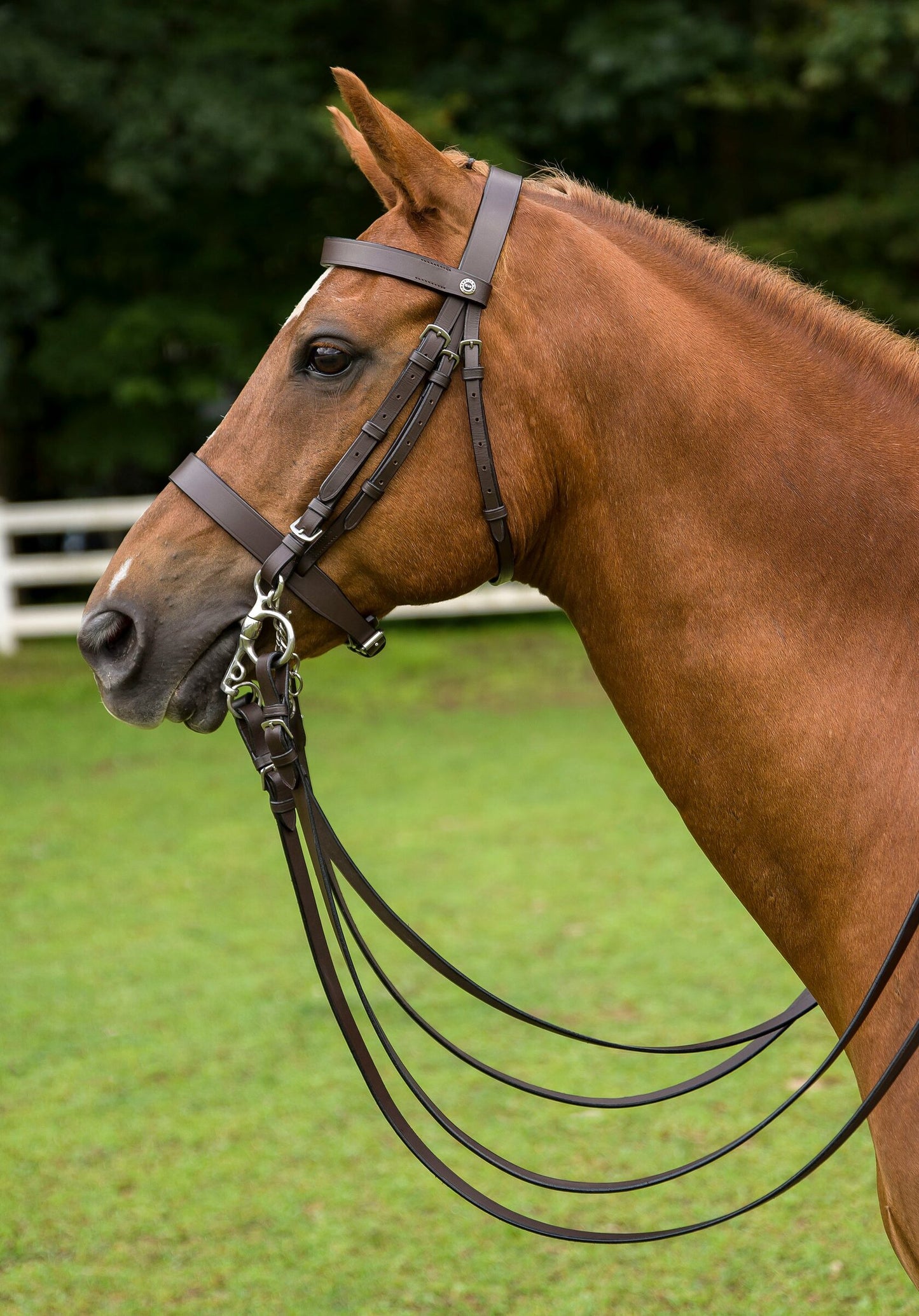 Henri de Rivel Polo Bridle w/ Double Reins