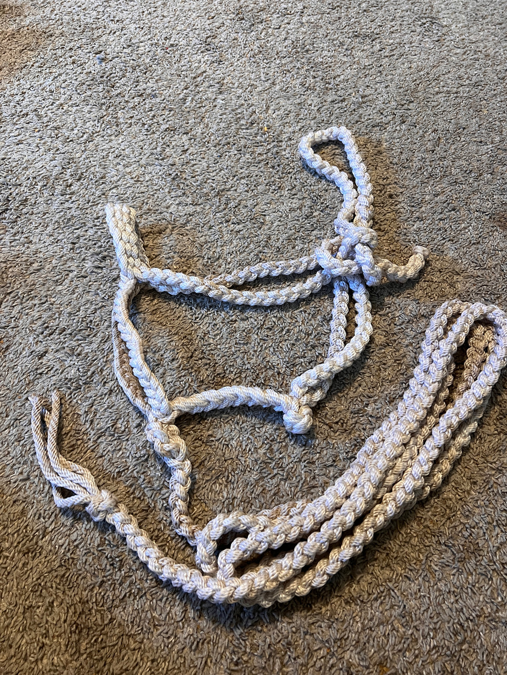 Used Mustang-Brand Muletape-Style Halter, White