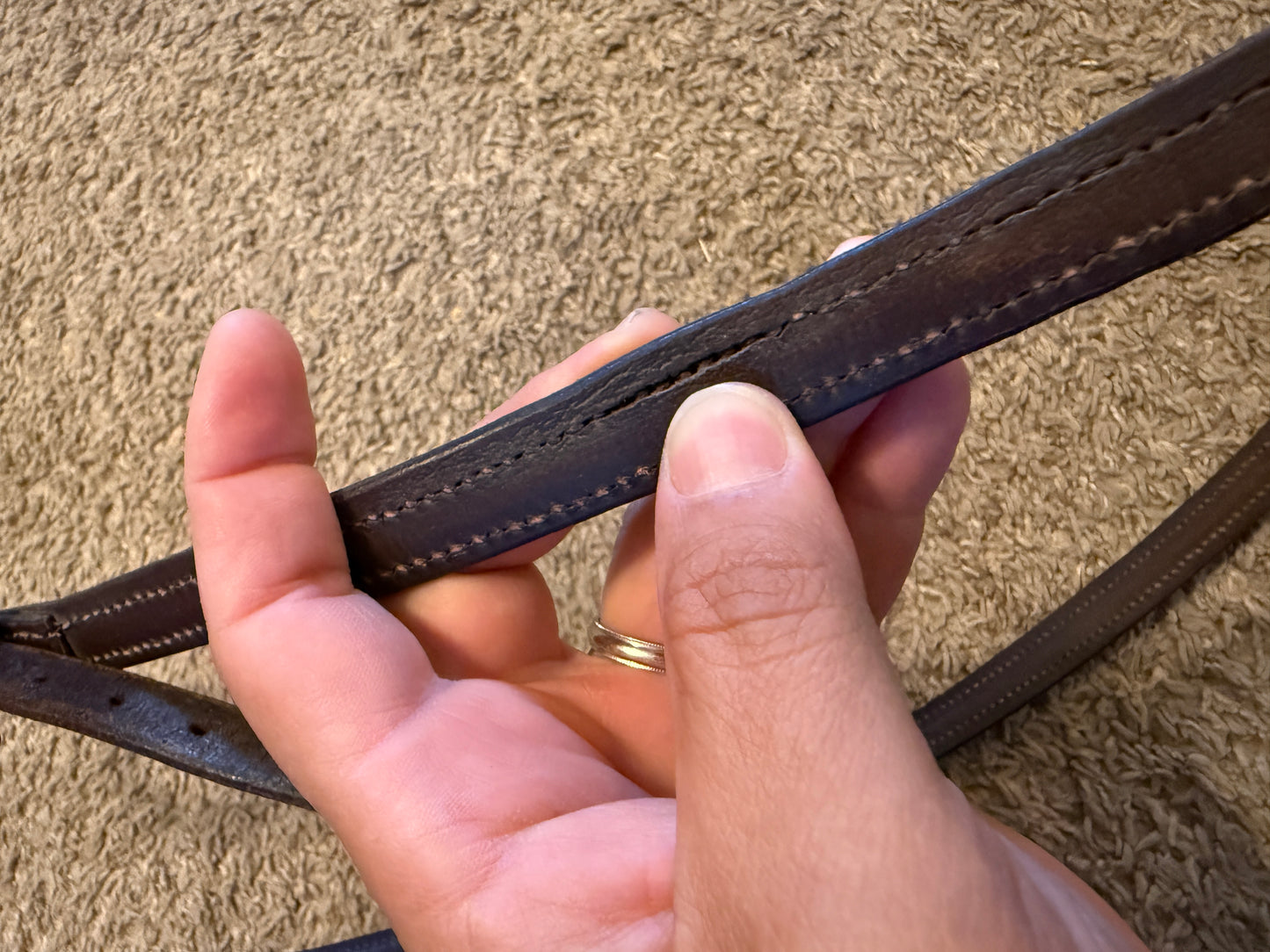Used Hunter Breastcollar, Small Horse