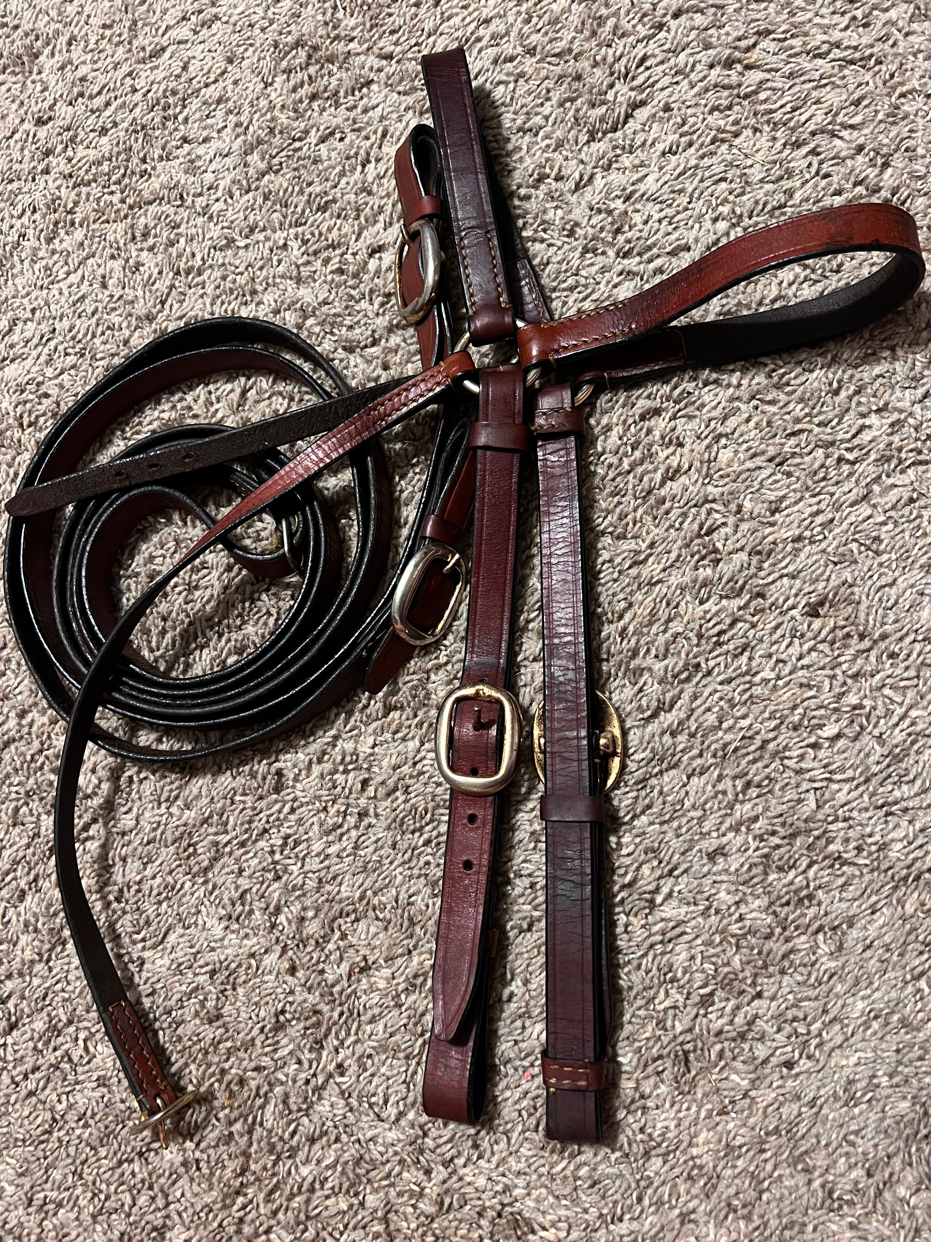Barcoo-Style Headstall and Reins