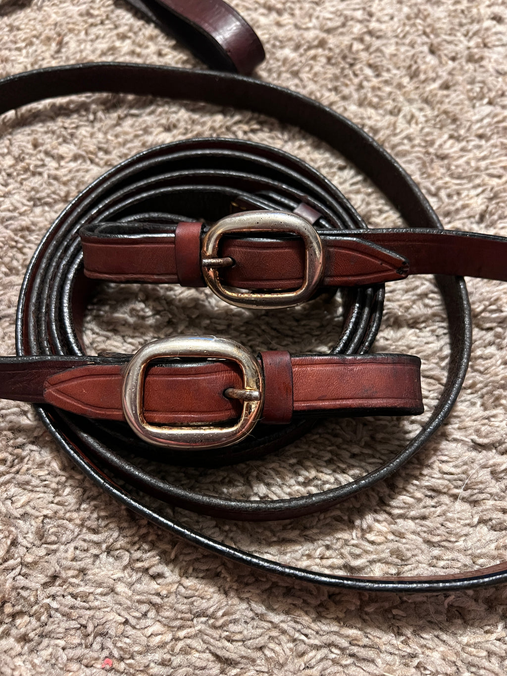 Barcoo-Style Headstall and Reins